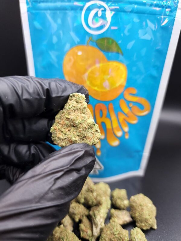 Maderine Cannabis Maderine Cannabis