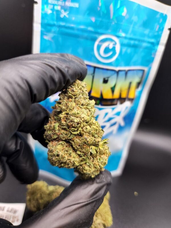 cannabis burnt rubber2