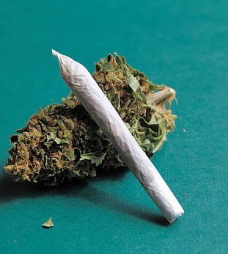 Medical marijuana. Therapeutic and medicinal cannabis.